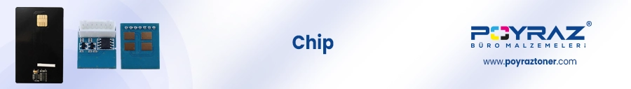 Chip.webp