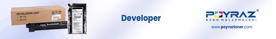 Developer.webp