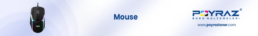 mouse.webp