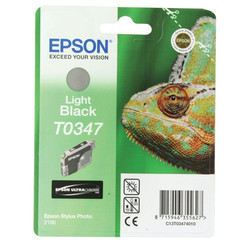 Epson T0347-C13T03474020 Açık Siyah Orjinal Kartuş - 1