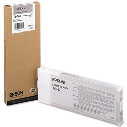 Epson T6067-C13T606700 Açık Siyah Orijinal Kartuş - 2