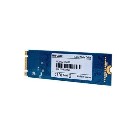 Hi-Level HLV M2SSD2280 256 GB SATA 3.0 M.2 SSD Hard Disk - 1